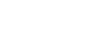The Biggest Little Cat Rescue The Biggest Little Cat Rescue